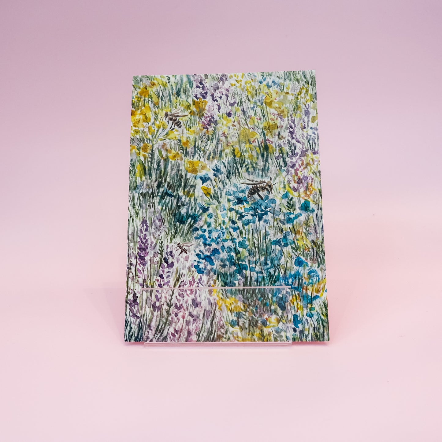 Kartica "Travnik", Manca Illustration