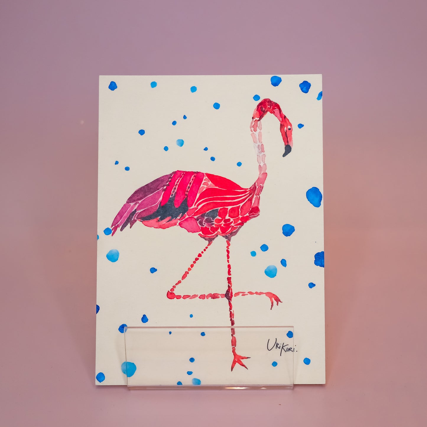 Kartica "Flamingo", UriKuri