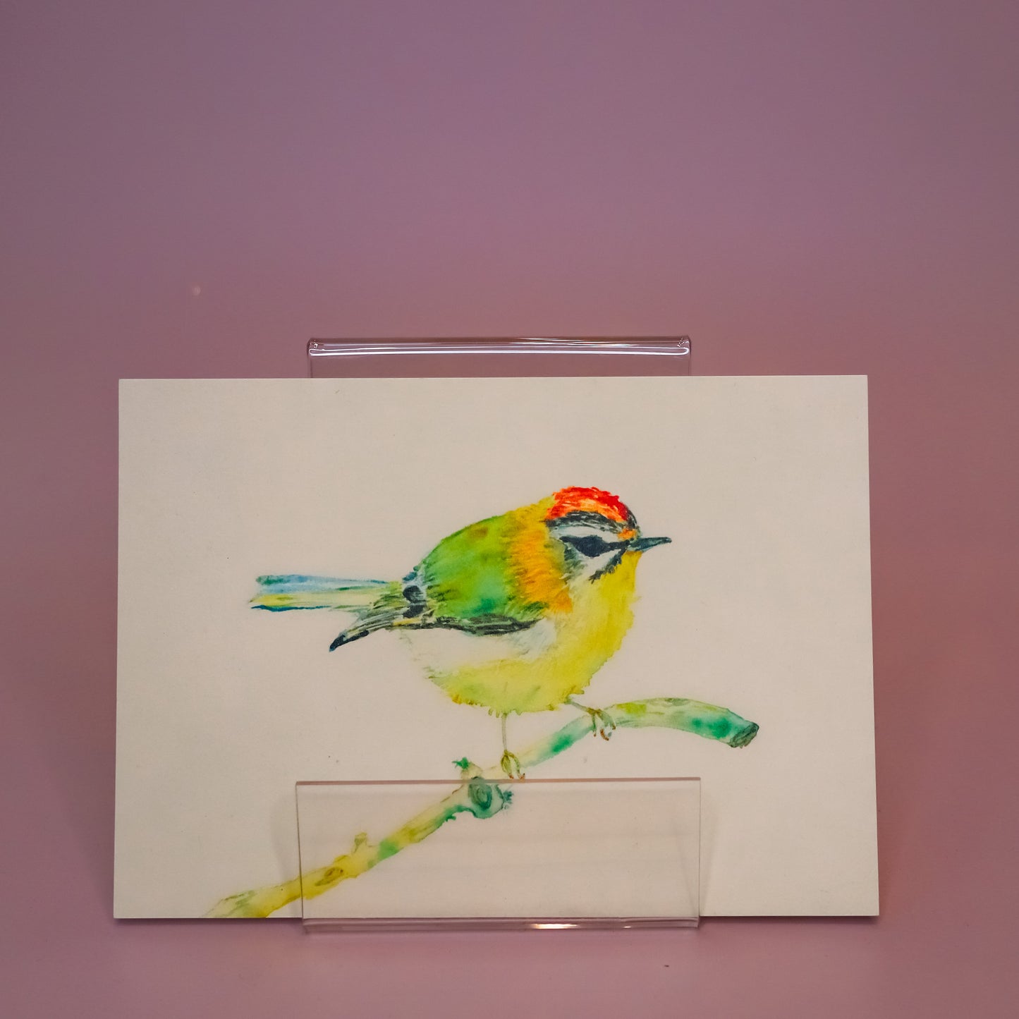 Kartica "Goldcrest Samo", UriKuri