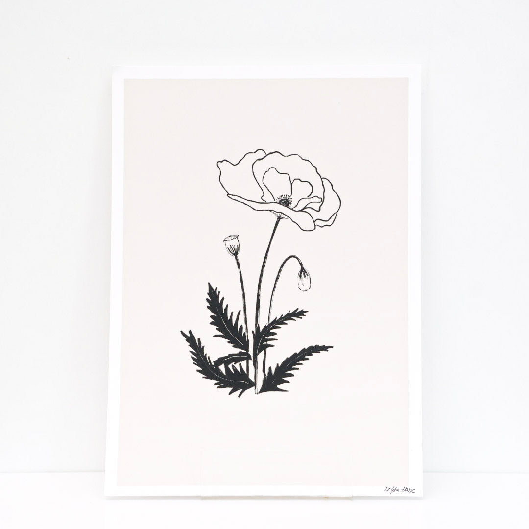 A4 Print ''Poppy'', List living
