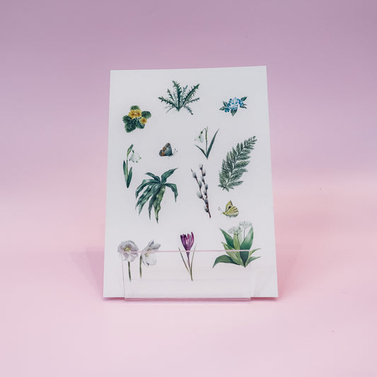 Kartica "Travniške rastline", Manca Illustration