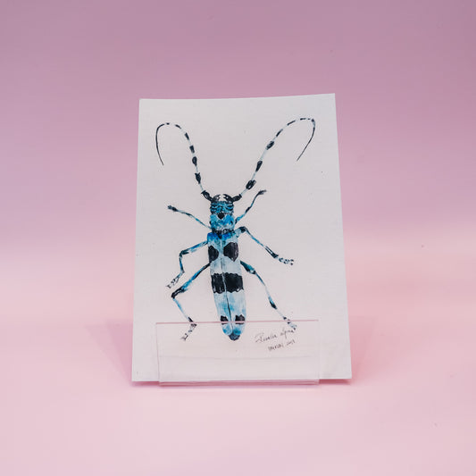 Kartica "The rosalia longicorn", UriKuri