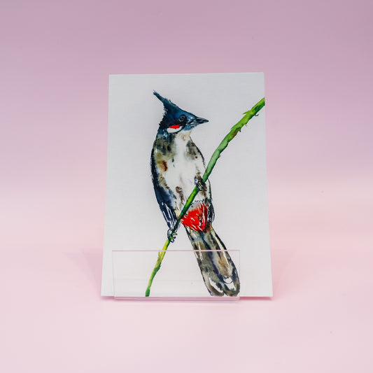 Kartica "A bulbul bird", UriKuri