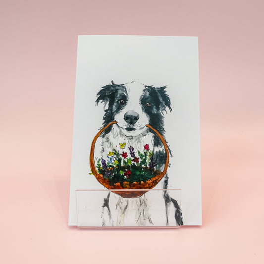 Voščilnica ''Kuža s košaro'', Nessa Art