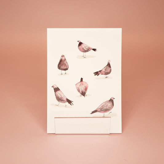 Kartica "Golobi", Darja Remc